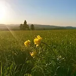 Weinig بيت ضيافة غيرسفلد