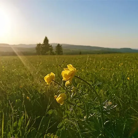 Weinig Pensjonat Gersfeld