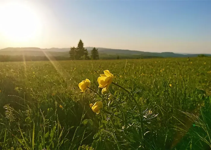 Weinig Pensión Gersfeld
